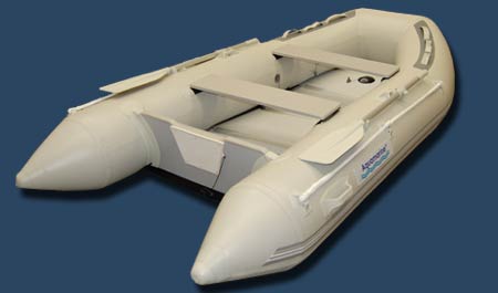 DYF 300 (9.8 feet boat)