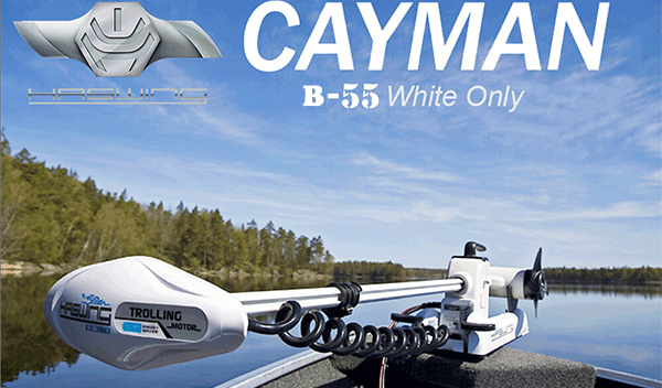 CAYMAN B trolling MOTOR HASWING bow Mount
